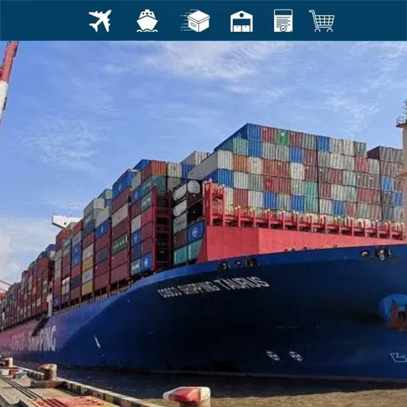 物流海运代理中国至澳大利亚DDP LCL - 速航船务