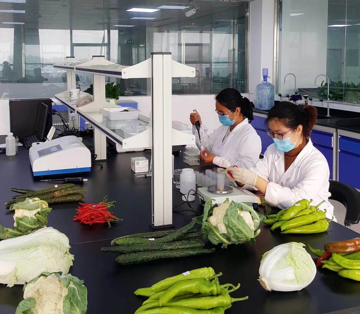 FBA 检验质量控制服务 中国辽宁辽阳市第三方质量检测 - 速航船务