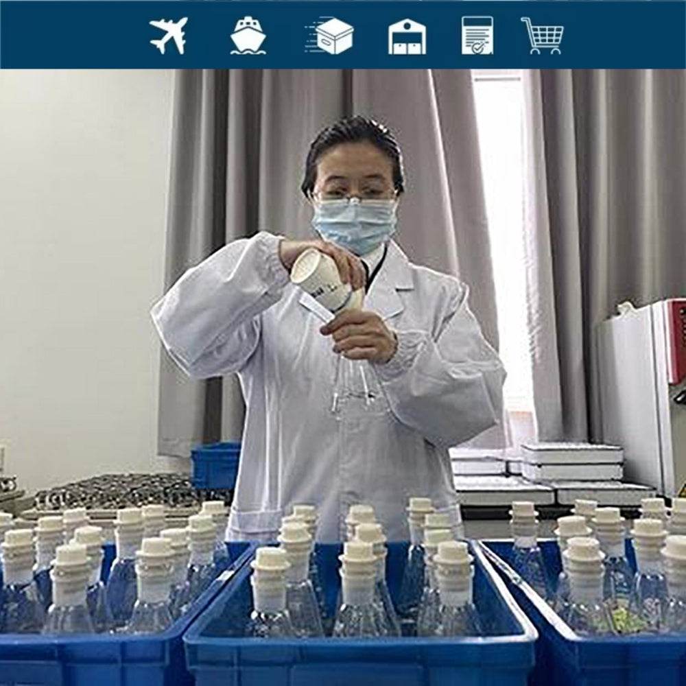 中国山东临沂专业第三方检验质量控制服务 - 速航船务