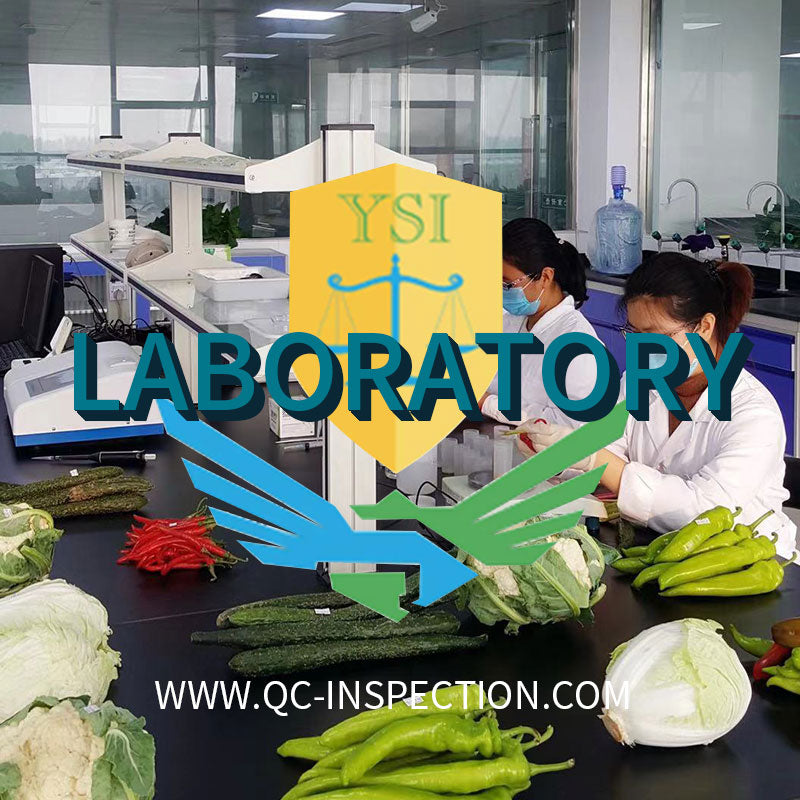 中国辽宁鞍山第三方实验室气味定性检测服务，用于货物发运前的物理检测 - 速航船务